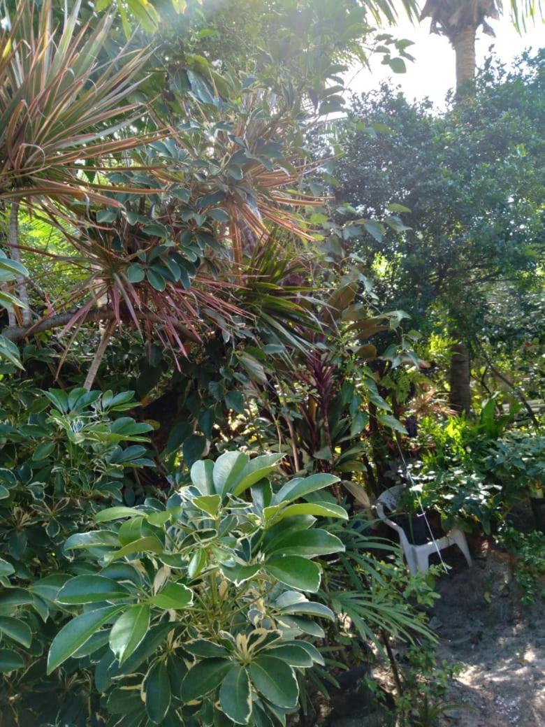 Hospedaria D'Maria Salvador Esterno foto